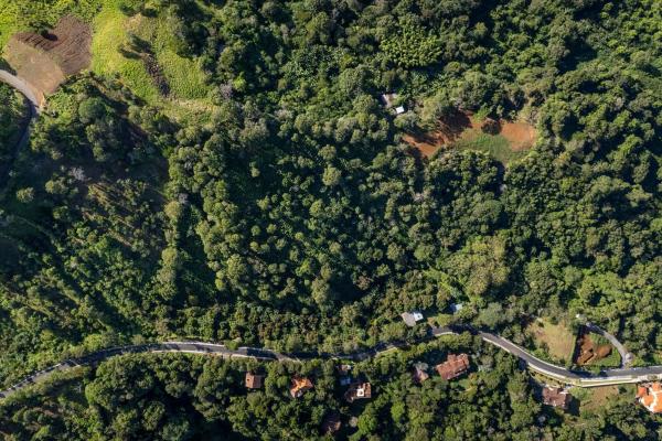 Finca de café y aguacate de boquete con vistas al volcán barú