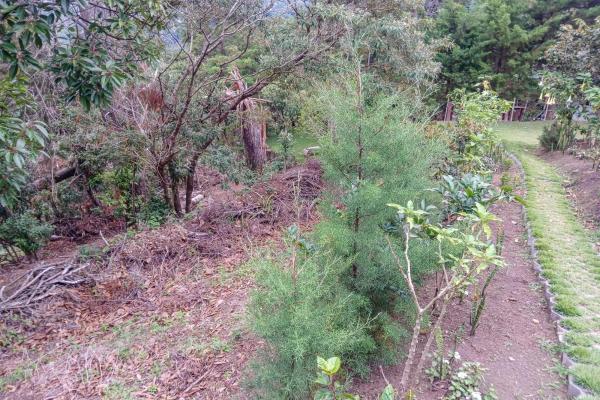 Cabaña con vistas al volcán barú en venta en jaramillo