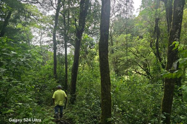 Terreno de 6,9 ha junto a boquete country club — venta de globo entero