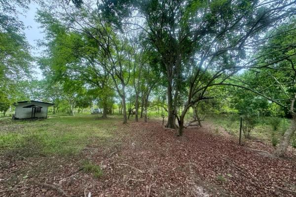 Venta de terreno de 9.9 hectáreas cerca de playas en el higo, san carlos