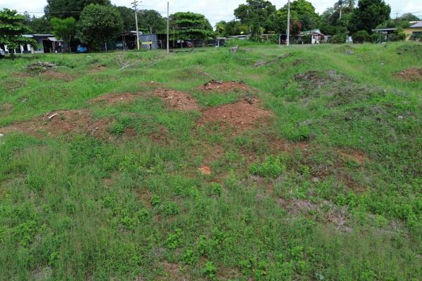 Commercial lot for sale in david