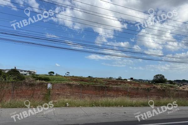 Land for sale in mañanitas