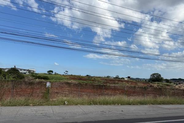 Land for sale in mañanitas
