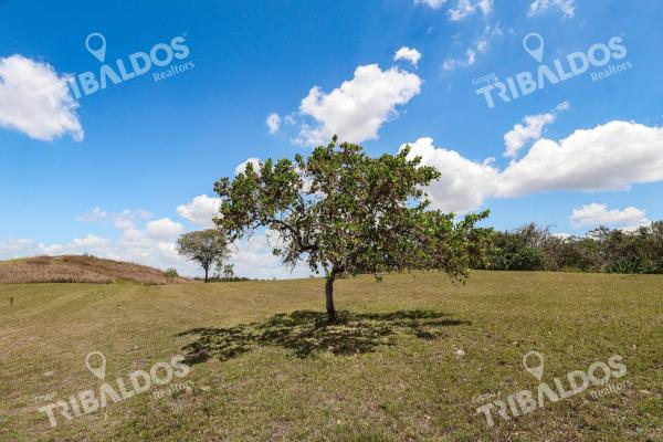Venta de granja con mejoras en san carlos