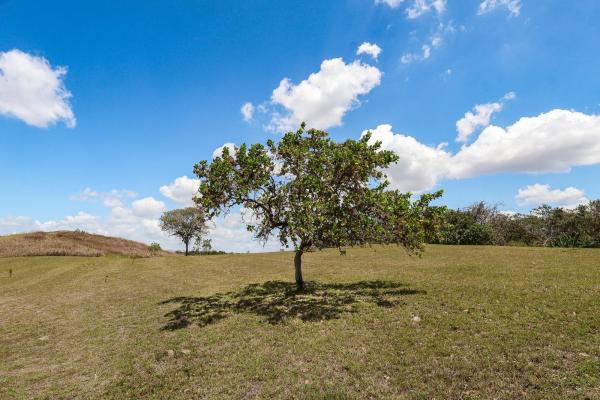 Venta de granja con mejoras en san carlos