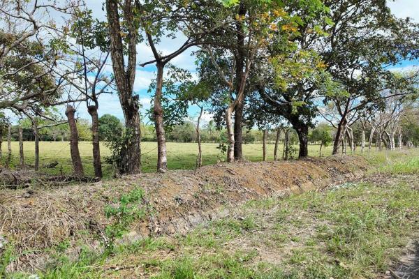 Prime flat land for sale in cochea abajo, david