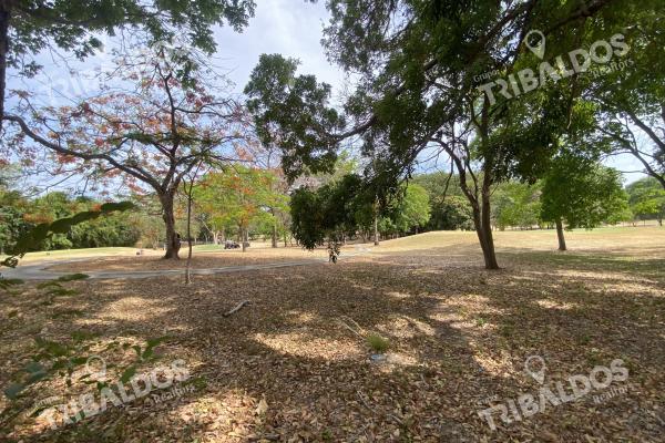 House for sale in coronado golf club