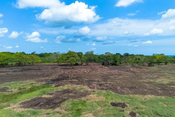 Terreno de 8 hectáreas en venta con acceso a la carretera panamericana.