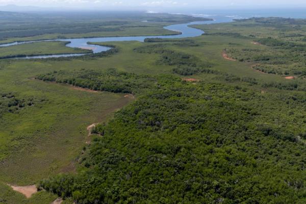 Commercial property in boca chica