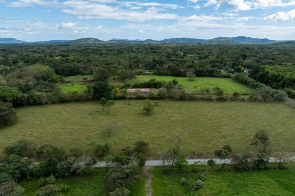 Prime flat land for sale in cochea abajo, david