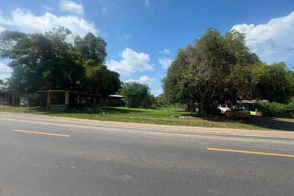 Vendo terreno comercial via principal la mitra la chorrera