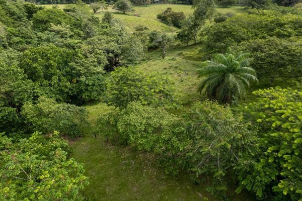 Se vende 2.02 hectareas planas en las lajas chiriqui
