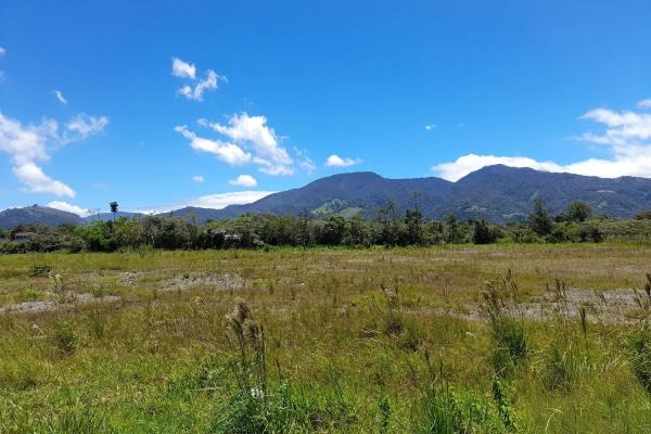 Flat road-front lot for sale in volcan