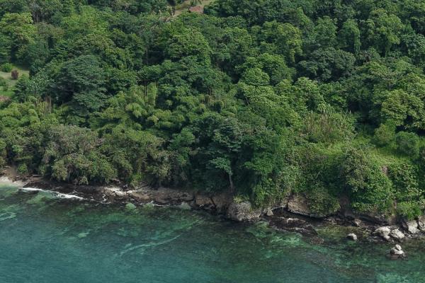 Propiedad boscosa frente al mar de 2,4 hectáreas en drago