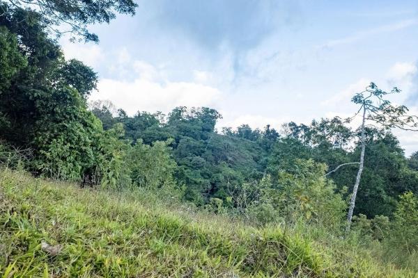 22 hectares with creek and mountain views
