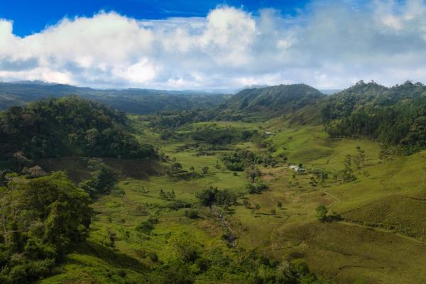 Agricultural farm in cotito highlands