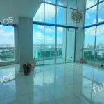 Sale of apartment in san francisco, park loft.