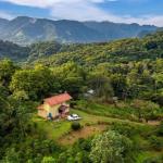 Coffee farm for sale in el cascajal, la pintada