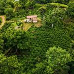 Coffee farm for sale in el cascajal, la pintada