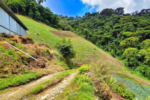 Finca agrícola en venta – cerro punta, chiriquí