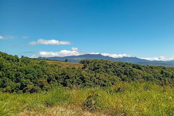 22 hectares with creek and mountain views
