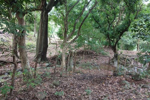 Sale of land 116 acres in san miguel, pacora river