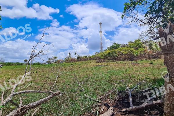 Venta de terreno en la mitra, peña blanca