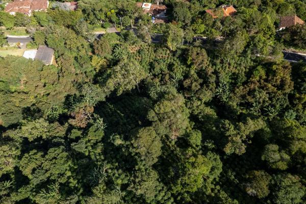 Finca de café y aguacate de boquete con vistas al volcán barú