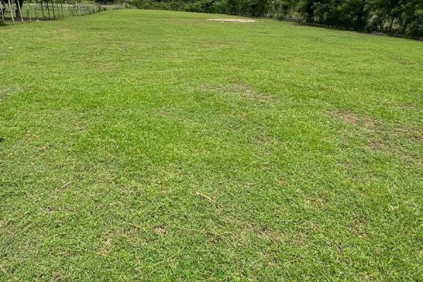 Beautiful 4.5 ha farm in el chirú, antón