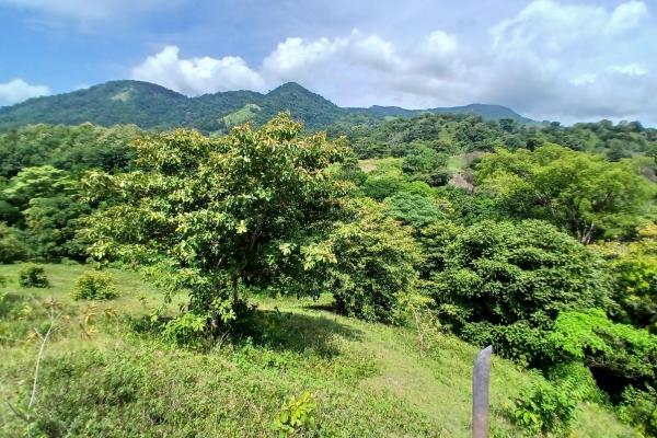 Sale of land 116 acres in san miguel, pacora river