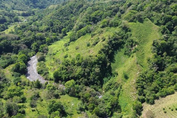 Amplia propiedad de 146.652 ha con fuentes de agua