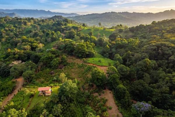 Coffee farm for sale in el cascajal, la pintada