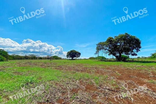 Venta de finca en guararé
