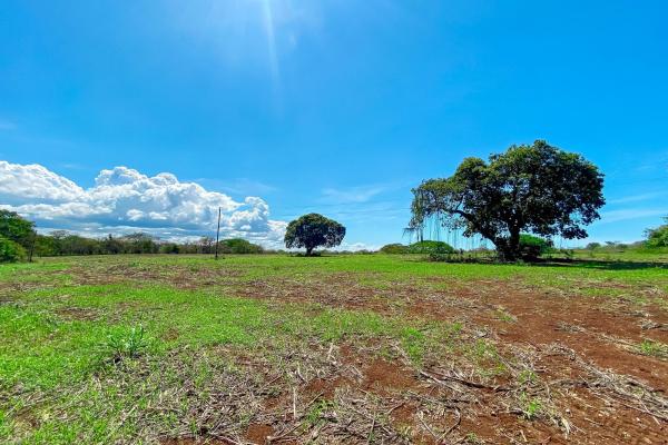 Venta de finca en guararé