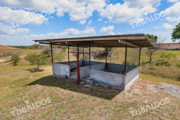 Venta de granja con mejoras en san carlos