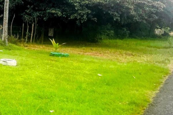 Land for sale of 5000 m2 on the beach of sant