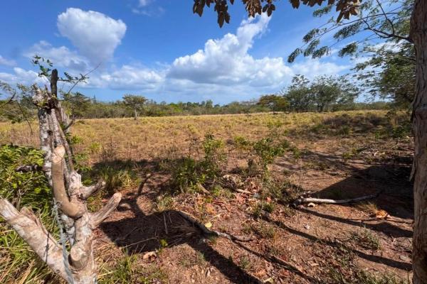 Se vende lote de terreno de 2.5 hectáres en el retiro, antón, coclé