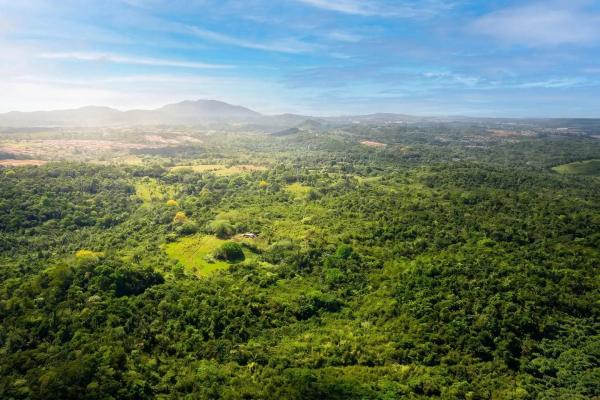 Terreno de 9,4 hectáreas en venta en arraijan central