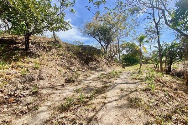 Finca de 4.3 hectareas – proyecto ideal comunidad