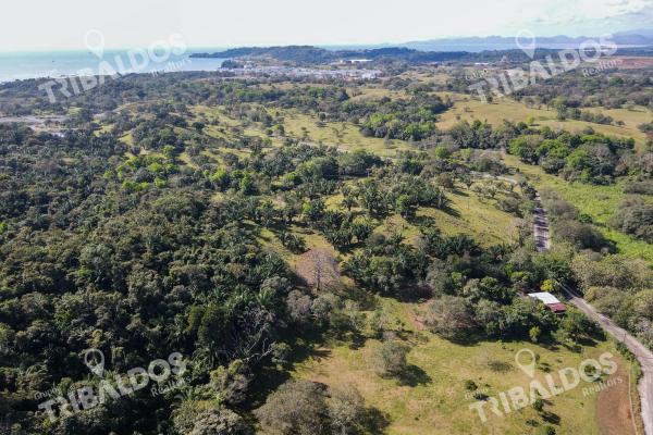Land for sale located in bique, arraijan