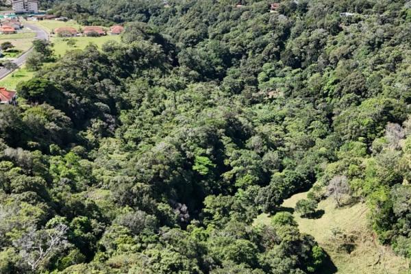 Terreno de 6,9 ha junto a boquete country club — venta de globo entero