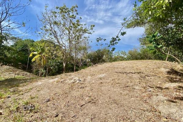 4.3 hectares finca – ideal community project