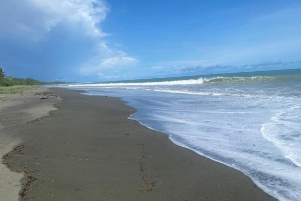 Desarrollo de primera línea de playa en puerto armuelles