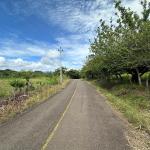 Land for sale in la pintada