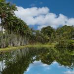 Residential estate 3.69 ha with lakes, and forest