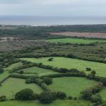 For sale land 9.8 hectares in las tablas