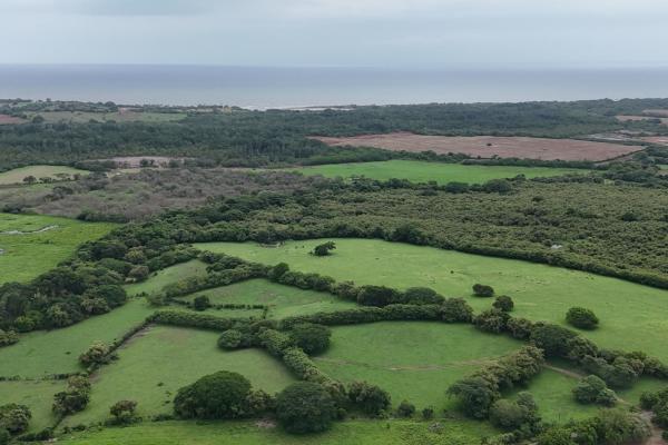 For sale land 9.8 hectares in las tablas