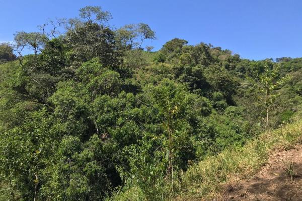 Amplia propiedad de 146.652 ha con fuentes de agua