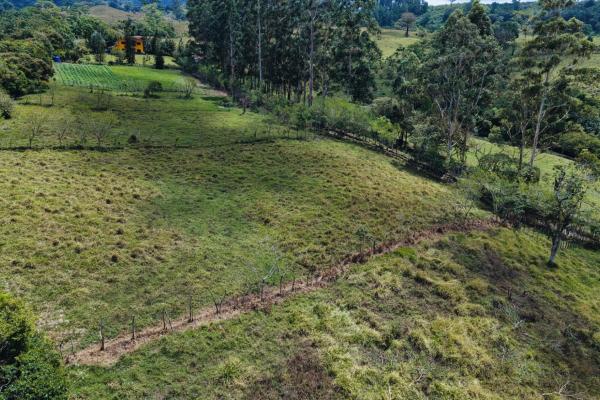 Land for sale – boquerón, cordillera arriba