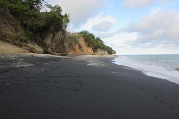 Beachfront property in riomar - san carlos